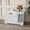 White, variant on HLR Cat Litter Boxes Furniture, Enclosure Flip-Top Covered Hidden Litter Box,Wooden Cat Washroom Cabinet for Kitty, Medium and Large Cat Black