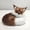 Coffee, variant on White White Faux Fur Fox Ornament Mini Squint Sleeping Fox Toy Realistic Figurine For Christmas Decor