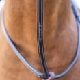 thumbnail image 4 of Equinavia Saga Adjustable Leather Standing Martingale with Stainless Steel Hardware, 4 of 7