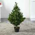 thumbnail image 4 of Nearly Natural 35" Olive Cone Topiary Artificial Tree (Indoor/Outdoor), 4 of 5