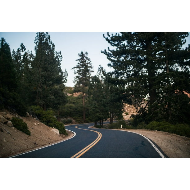 Road Curve Hill Road Bend Hilly Highway Forest Inch By 30 Inch Laminated Poster With Bright Colors And Vivid Imagery Fits Perfectly In Many Attractive Frames Walmart Com Walmart Com