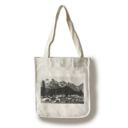 Mt. Rainier Nat'l Park, Washington - Paradise Valley Camp Ground View, Tatoosh Range (100% Cotton Tote Bag -