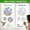 Round, variant on StarRound 42-Pack Anti-Collision Window Alert Decals Bird Strike Prevention Stickers