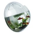 thumbnail image 2 of PENGXIANG Hydroponic Plant Vase Fish Tank Transparent Design  Plant Vase for Christmas & Birthday Gift  L, 2 of 7
