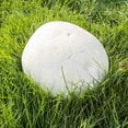 thumbnail image 3 of Gourmet and Medicinal Mushroom Cultures (Giant Puffball (Calvatia gigantea)), 3 of 3