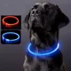 thumbnail image 2 of Collar De Perro Con Luz Led Recargable Usb Azul, 2 of 4