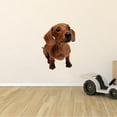 thumbnail image 1 of Vinyl Adhesive Home Art Wiener Sausage Badger Dog Decor Dachshund Pet Wall Decal Sticker - 22" x 28" Kids Bedroom Living Room Hound Breed Short Legged Long Bodied Dog Design Removable Wall Decoration, 1 of 4