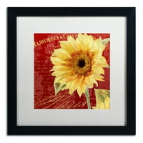 Trademark Fine Art 'Ete III' Black Framed Art by Color Bakery