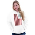 thumbnail image 5 of USA American Flag Distressed Stencil Hoodie Sweatshirt Women Men Brisco Brands M, 5 of 6