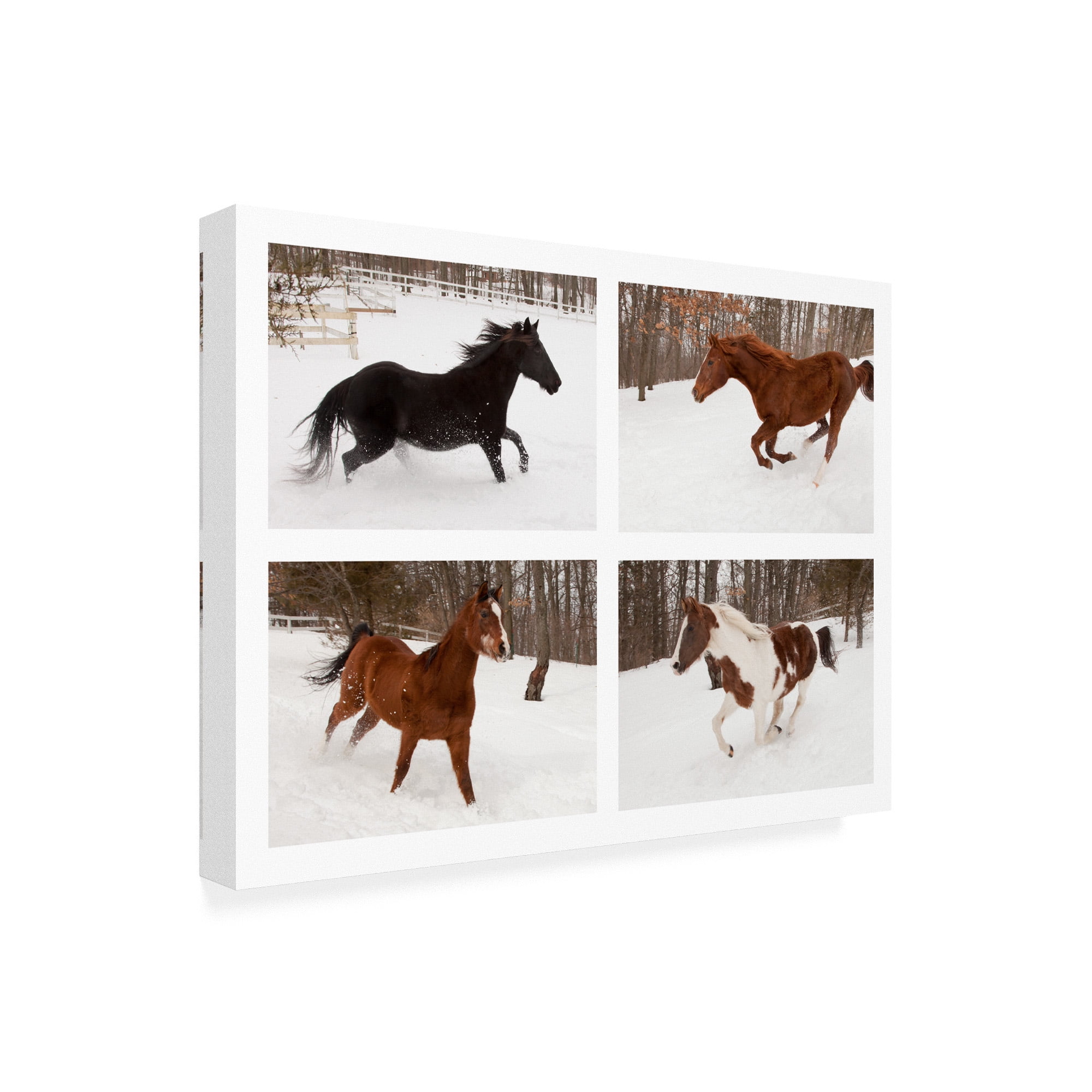 Trademark Fine Art 'Four Horses In Winter' Canvas Art by Monte Nagler