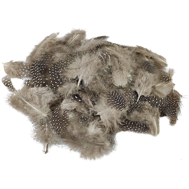 Paquete de 300 plumas decorativas plumas de gallina de guinea para decoración artesanal DIY figura decorativa de Pascua Navidad Namotu MZQ-1216-6