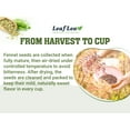 thumbnail image 6 of LeafLea 40 Fennel Tea Bags, 100% Natural & Pure Fennel Seed Tea, Te De Hinojo, Mild Sweet Finish, Caffeine-Free, Sugar-Free, 6 of 18