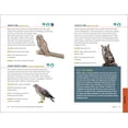 thumbnail image 4 of North American Bird Watching for Beginners (Spiral Bound), 4 of 9