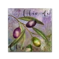 thumbnail image 2 of Trademark Fine Art "Olivia I" Canvas Art by Color Bakery, 2 of 2