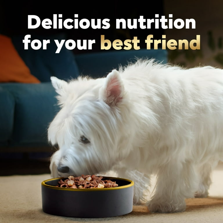 Cesar Home Delights Wet Dog Food Variety Pack 36 Count 3.5 oz Trays Six Flavors Walmart