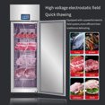 thumbnail image 2 of Kolice Commercial 110V Heavy Duty Meat Thawing Machine, Food Defroster Machine, Defrosting Machine for Large Batch of Beef,Mutton,Sea Food - Rapid Thawing within 3-4 Hours, 2 of 8