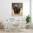 thumbnail image 2 of Stupell Industries Wild American Bison Grazing Rustic Tall Grass Cabin Photography Gallery-Wrapped Canvas Print Wall Art, 36 x 48, Design by Larry McFerrin, 2 of 6