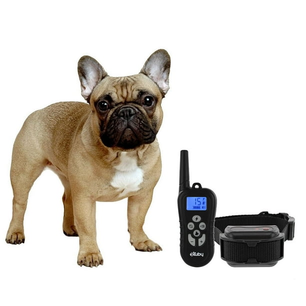 eXuby Dog Shock Collar with Two Adjustable Straps for Small & Medium