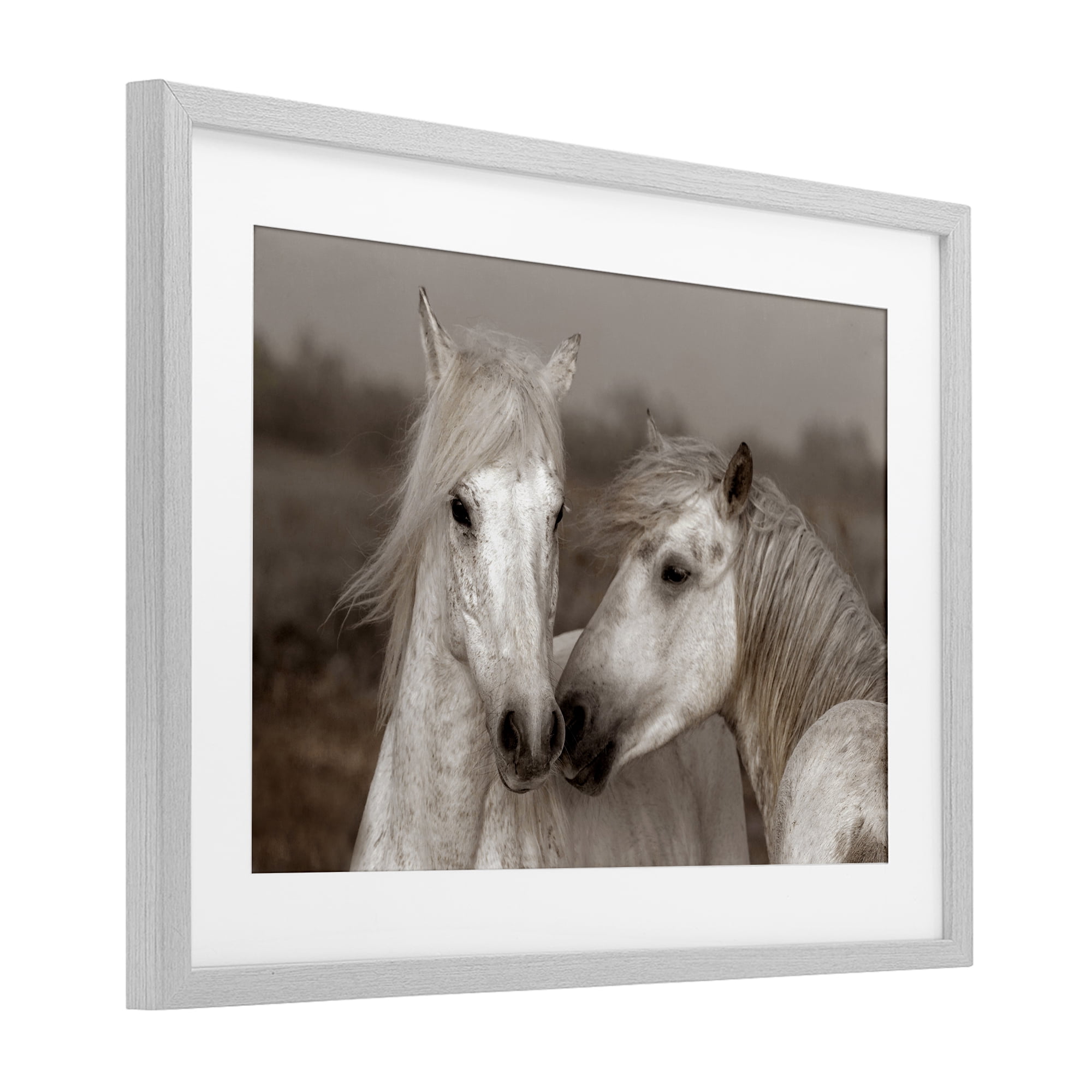 Stupell Industries Gentle Companionship Horses Gray Framed Print Under Glass, design by Danita Delimont