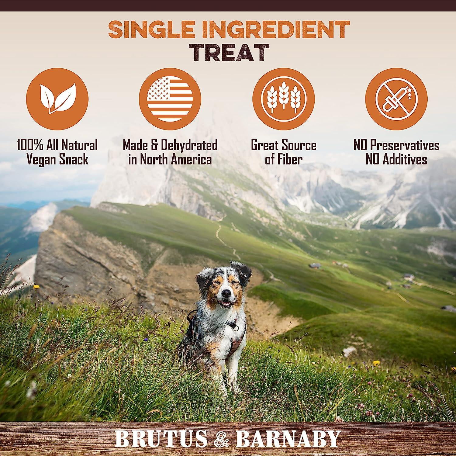 Brutus & Barnaby Sweet Potato Fries Gluten Free, Grain Free Dog Treats, 14 Oz