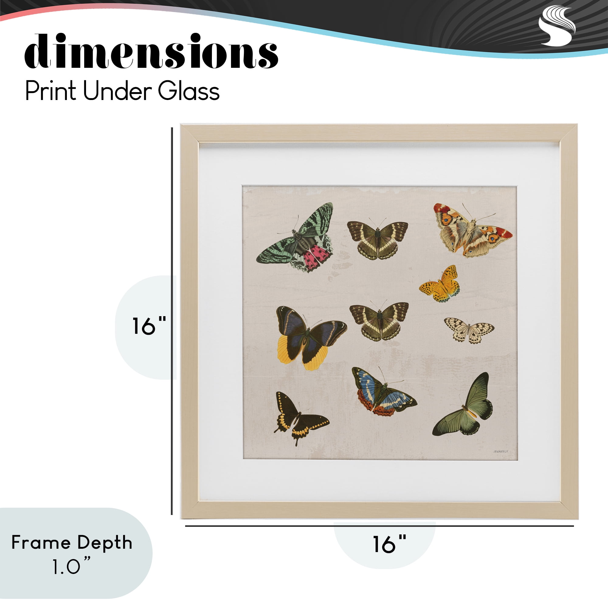 Stupell Industries Antique Butterfly Flight Birch Framed Print Under Glass, design by Dan Meneely