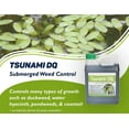 thumbnail image 2 of Tsunami DQ 1 Qt. Liquid 2 to 8 Qt./Acre Coverage Area Pond Weed Control 00137, 2 of 9
