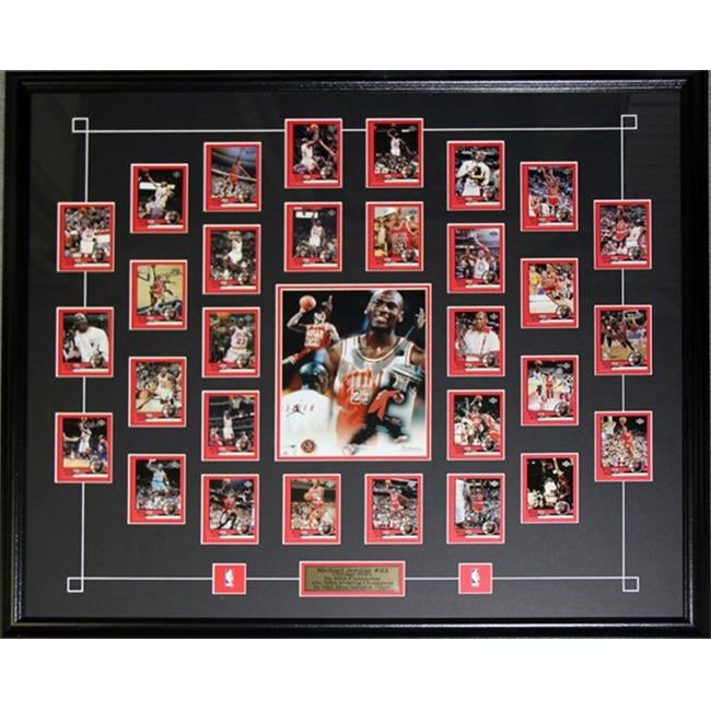 upper deck tribute to jordan lunch box