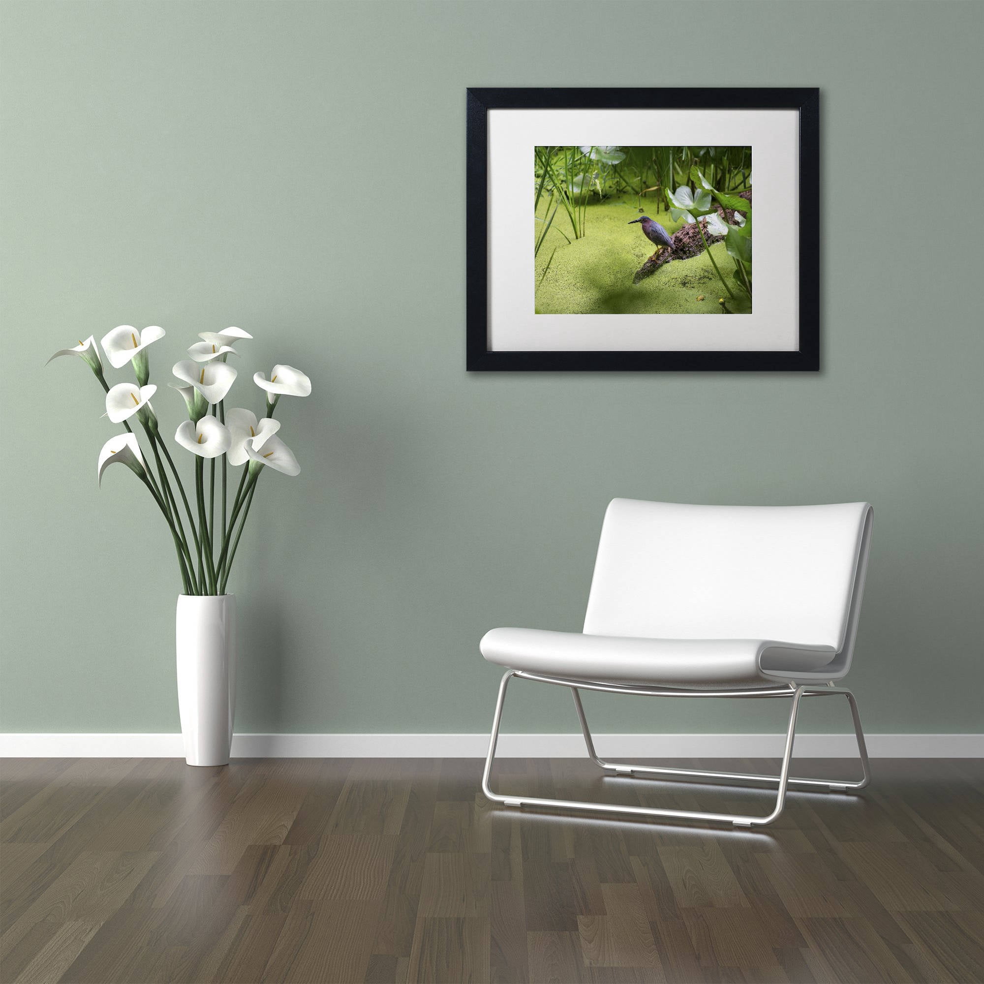 Trademark Fine Art "Green Heron" Canvas Art by Kurt Shaffer, White Matte, Black Frame