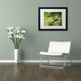thumbnail image 3 of Trademark Fine Art "Green Heron" Canvas Art by Kurt Shaffer, White Matte, Black Frame, 3 of 4