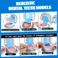 thumbnail image 3 of Juguete de rol para niños con aparatos ortopédicos ULOVEME de Dentist Playset, 3 of 8