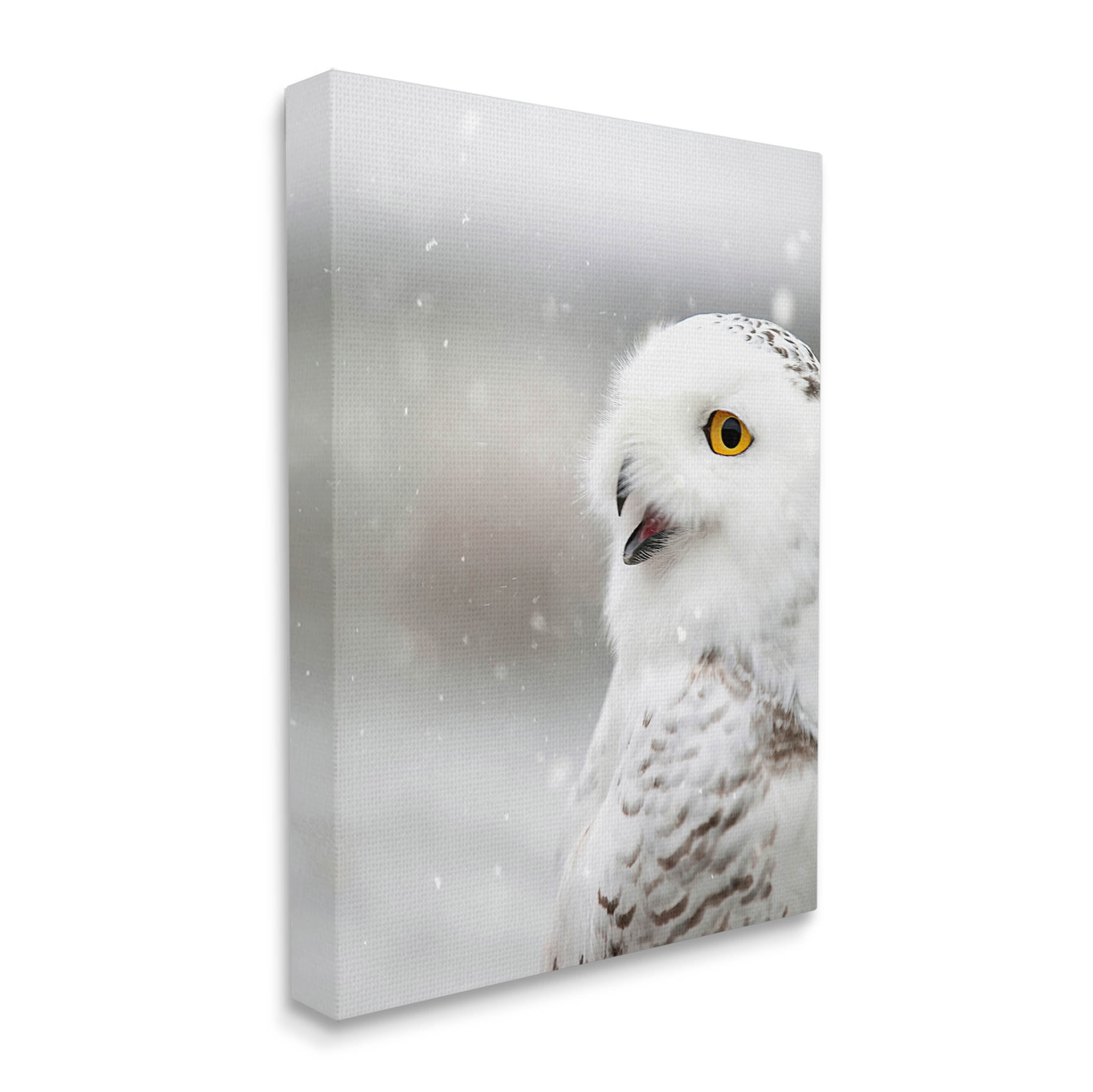 Stupell Industries Snowy Owl Winter Gaze Photograph Gallery Wrapped Canvas Print Wall Art, Design by Carrie Ann Grippo-Pike