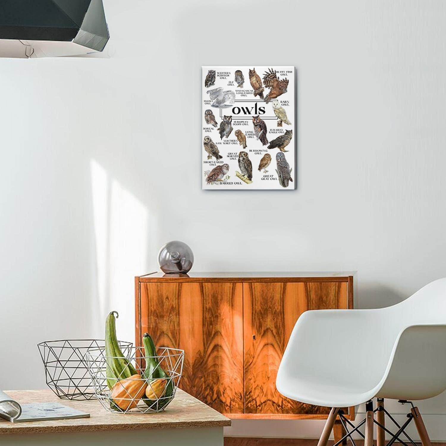 Owls Wall Art Owl Decor for Living Room Home