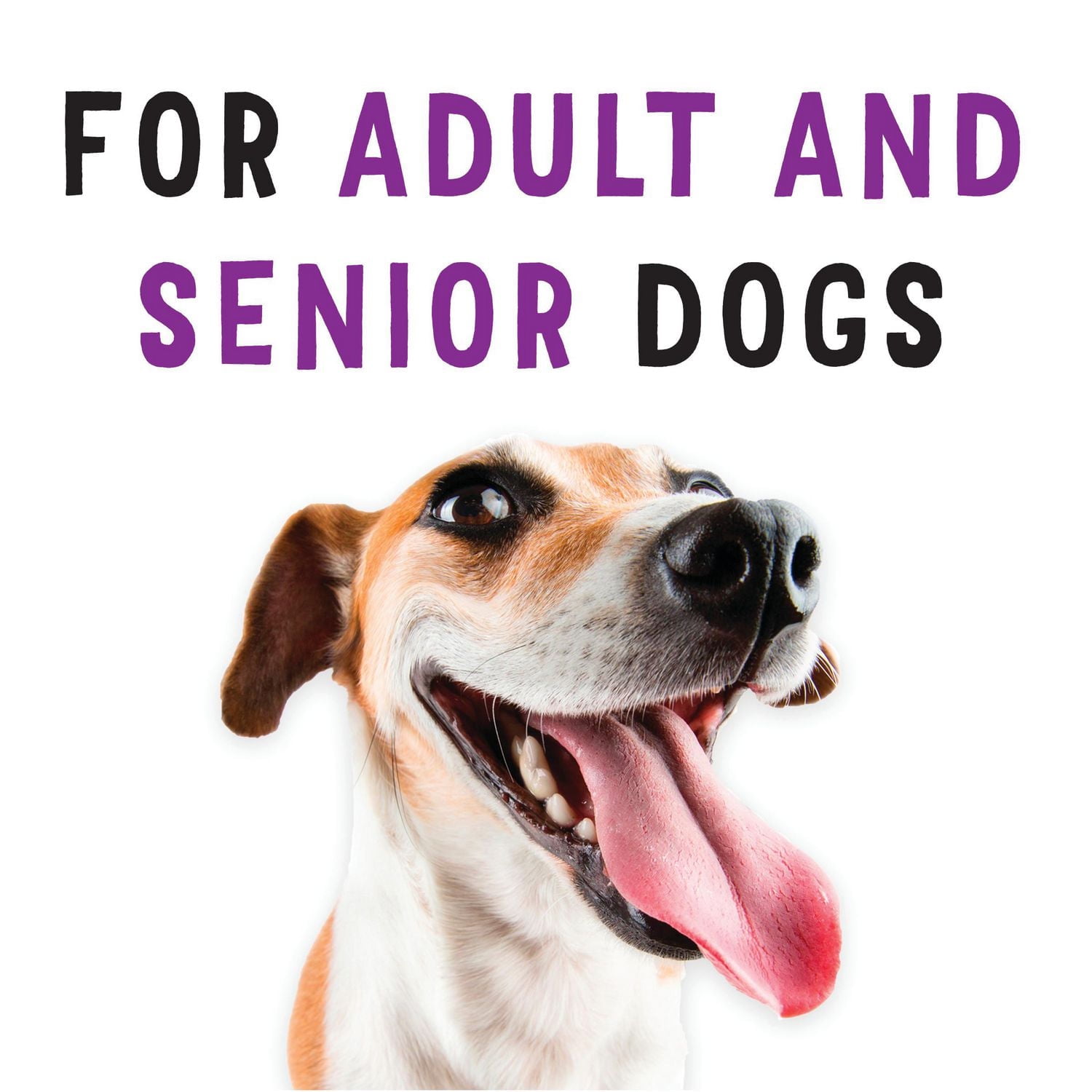 Beggin' avec Bacon, Gâteries Tendres pour Chiens 170 g-1,13 kg