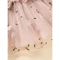 thumbnail image 6 of Bagilaanoe Toddler Baby Girl Dress Ruffle Long Sleeve A-line Princess Dresses 3M 6M 9M 12M 18M 24M 3T Kid Flower Embroidered Patchwork Tulle Skirt, 6 of 8