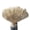Color47, variant on 13Bones Ostrich Feather Fan Stages Performance Carnival Show Accessory Big Feather Fan