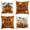 B, variant on Sm:)e Trick or Treat Boo Ghost Pumpkin Happy Halloween Pillow Covers 18x18 Inch Set of 2, Cushion Covers for Sofa Home Decor