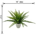 thumbnail image 3 of Mainstays 11.5in Indoor Artificial Plant in Pot, Green Color Fern, 3 of 5
