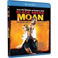 thumbnail image 1 of Black Snake Moan, 1 of 1