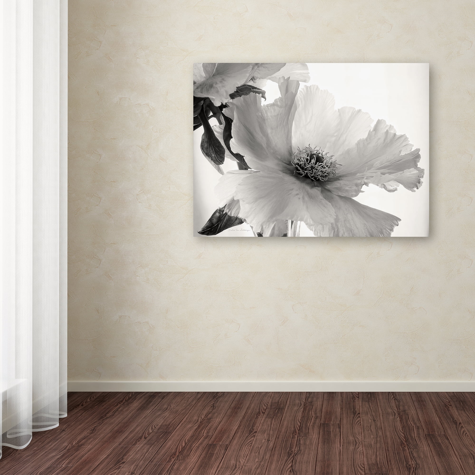 Trademark Fine Art 'Translucent Peony VIBW' Canvas Art by Debra Van Swearingen
