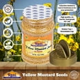 thumbnail image 4 of Rani Yellow Mustard Seeds Whole Spice 3.5oz (100g) Jar ~ Ideal for Pickling, Dressing and Making Ground Mustard for Cooking, All Natural | Vegan | Gluten Friendly | NON-GMO | Kosher | Indian Origin, 4 of 7
