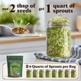 thumbnail image 2 of Seedboy Organic Non-GMO Fresh Salad Blend Sprouting Seeds, USA Grown, 8 oz, 2 of 7