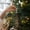 D, variant on Velvet Flocked Cone Christmas Ornaments Set of 6 – Soft Plush Hanging Holiday Decorations Conical Shaped Tree Garland Mantel Door Window Party Home Festive Baubles Boxed Clearance