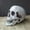 F 4.5*4.5*6cm, variant on Halloween Artificial Skull Head Model Skull Bone Scary Horror Skeleton Ornament