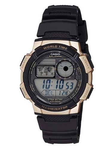 e data bank casio