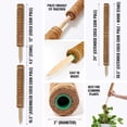 thumbnail image 7 of GARDENERA Coco Coir Poles for Monstera (Pack of 4) - 12" Monstera Plant Stakes, Sphagnum Handmade Coco Stick, Potted Plants Support/Totem Perfect for Small/Medium Climbing Plants Indoor, 7 of 7