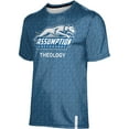 thumbnail image 2 of Men's ProSphere  Blue Assumption Greyhounds Theology Logo T-Shirt, 2 of 3