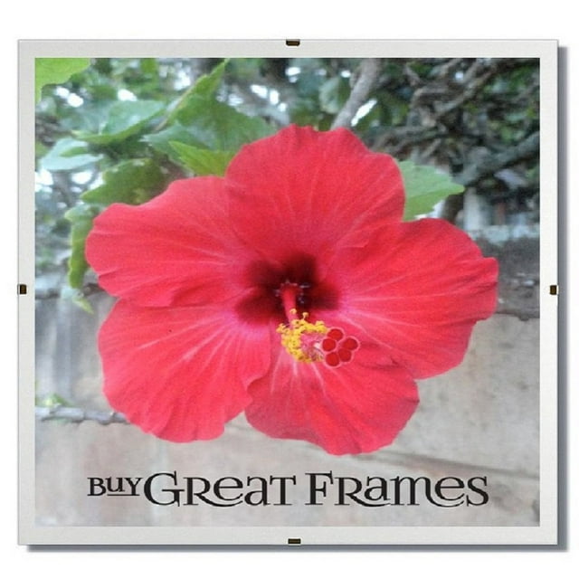 Set of 24 - GREATCLIP 5x5 Glass and Clip Frames