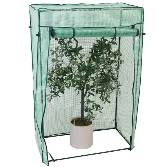 Sunnydaze 3' x 1.5' x 5' Potted and Tomato Plant Greenhouse, Green Cover