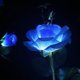 thumbnail image 2 of Luces solares para decoración de exteriores - Luces solares para exteriores - Luces solares para jardín a prueba de agua - Led rosa para jardín, arbustos, césped, cercas (azul) 75x, 2 of 5