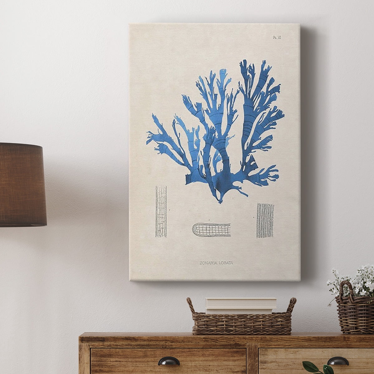Blue Marine Algae IX Premium Gallery Wrapped Canvas - Ready to Hang
